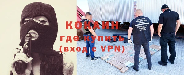 ПСИЛОЦИБИНОВЫЕ ГРИБЫ Аркадак