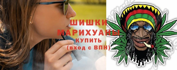 ПСИЛОЦИБИНОВЫЕ ГРИБЫ Аркадак